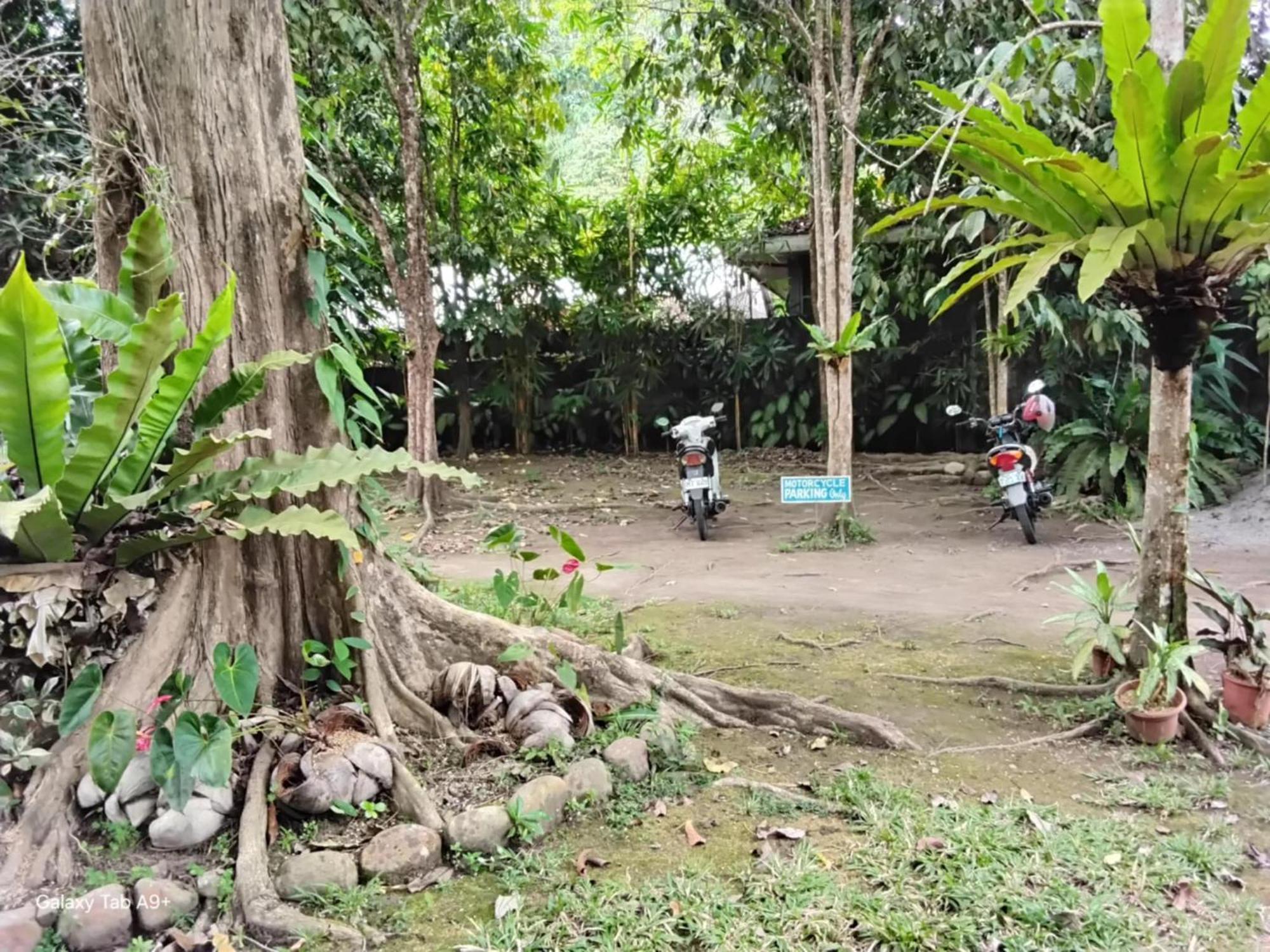 Camiguin Lanzones Resort Mambajao Ngoại thất bức ảnh