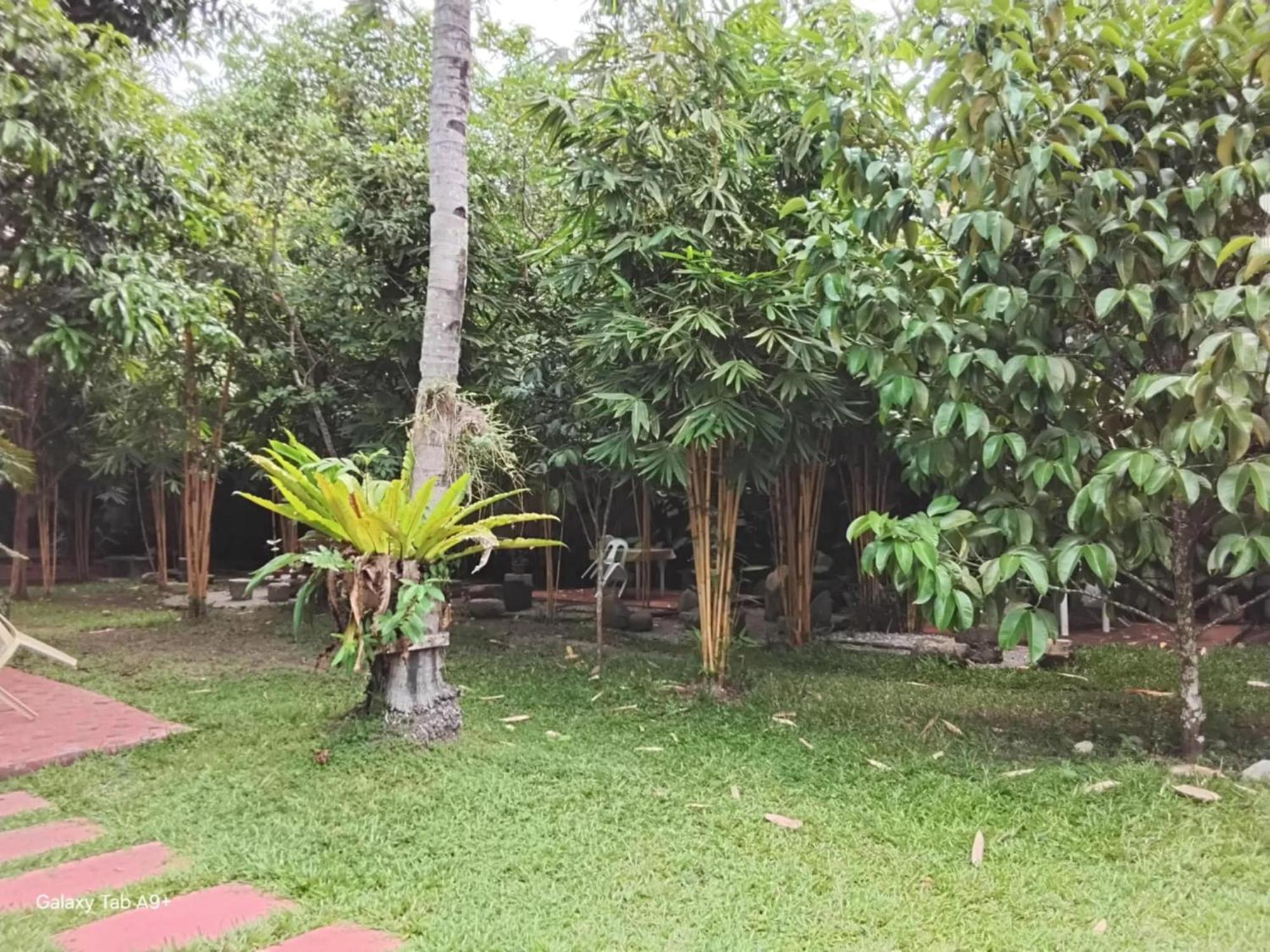Camiguin Lanzones Resort Mambajao Ngoại thất bức ảnh