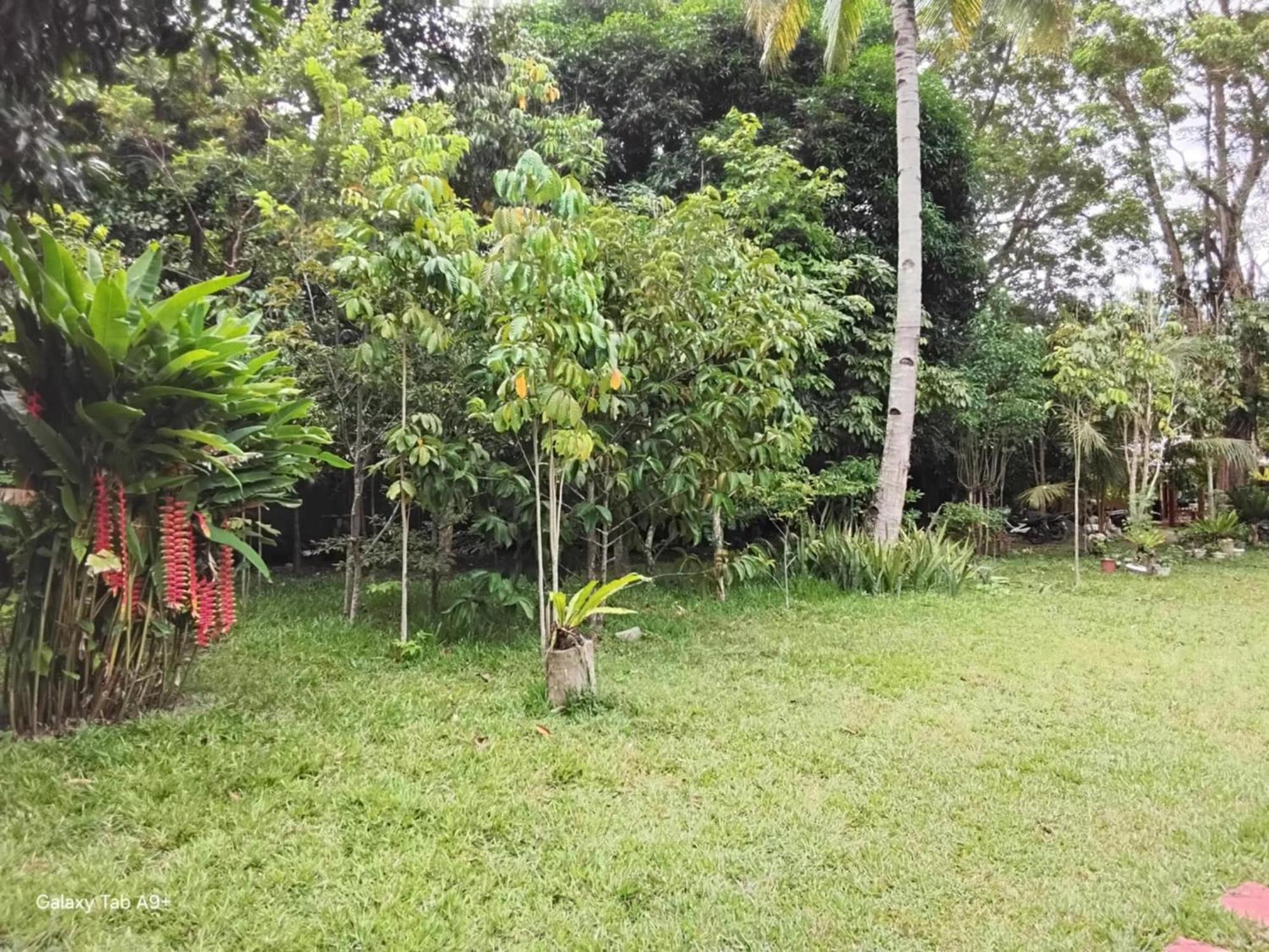 Camiguin Lanzones Resort Mambajao Ngoại thất bức ảnh