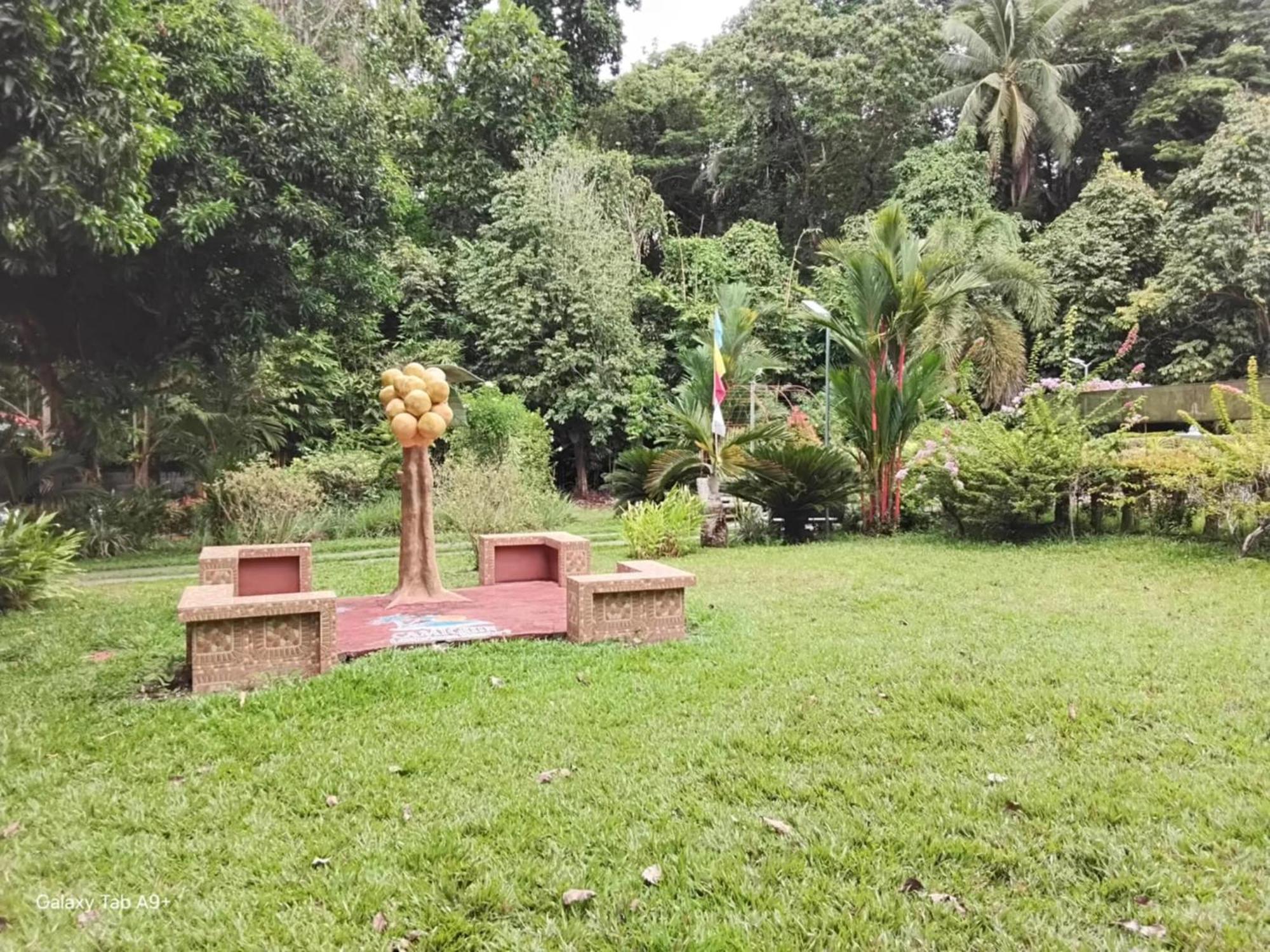 Camiguin Lanzones Resort Mambajao Ngoại thất bức ảnh