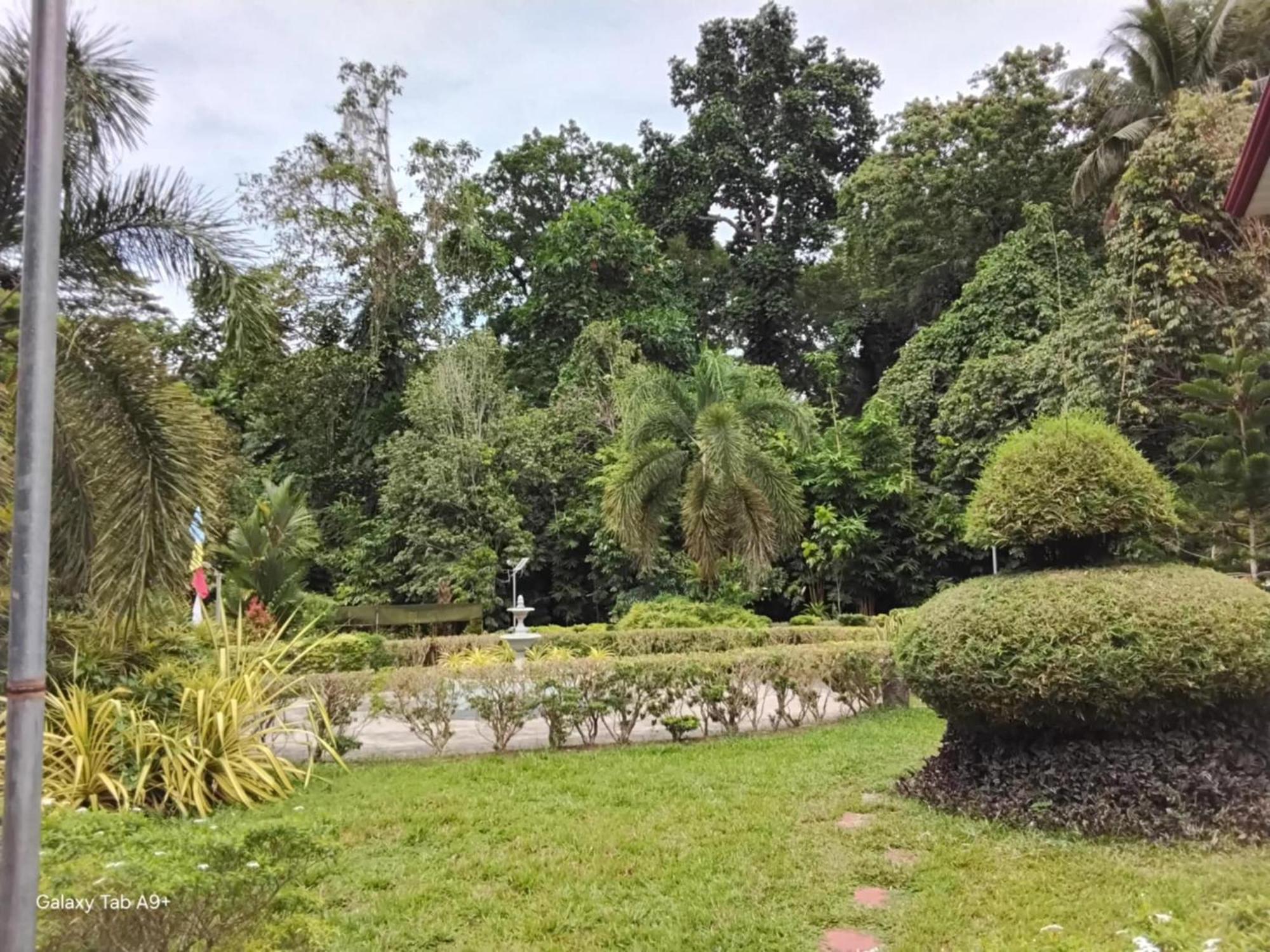 Camiguin Lanzones Resort Mambajao Ngoại thất bức ảnh